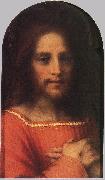 Andrea del Sarto Christ the Redeemer ff